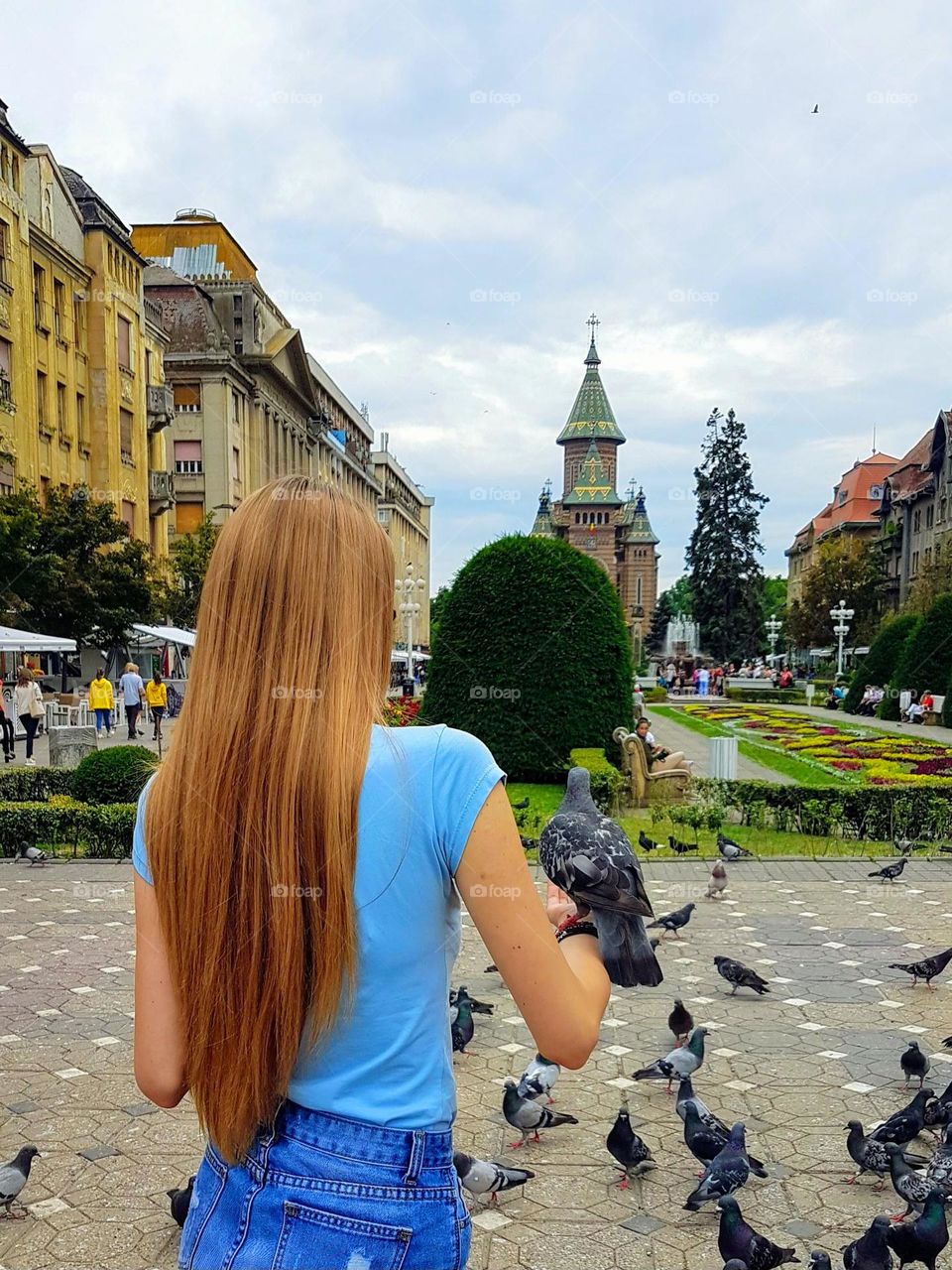 the girl and the pigeons