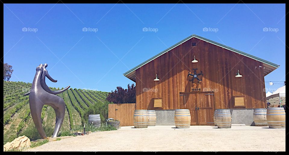 Beautiful winery in California. Vineyard.