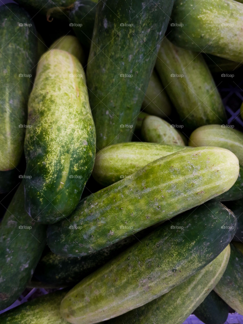 Fresh green cucumbers inside a container background textures