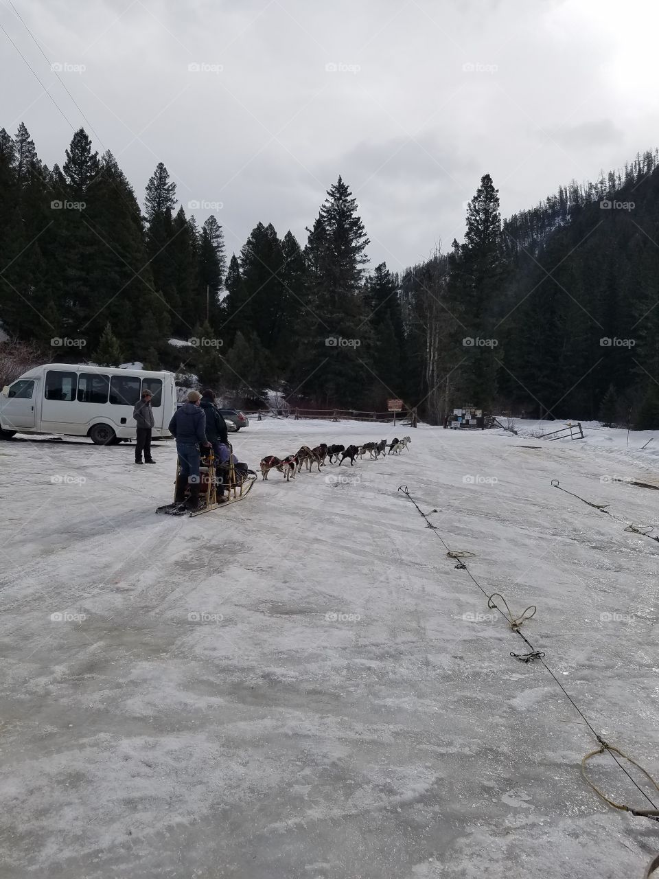Dog sledding in Montana