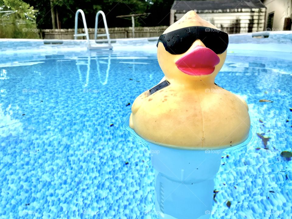 Lazy summer days in the pool 