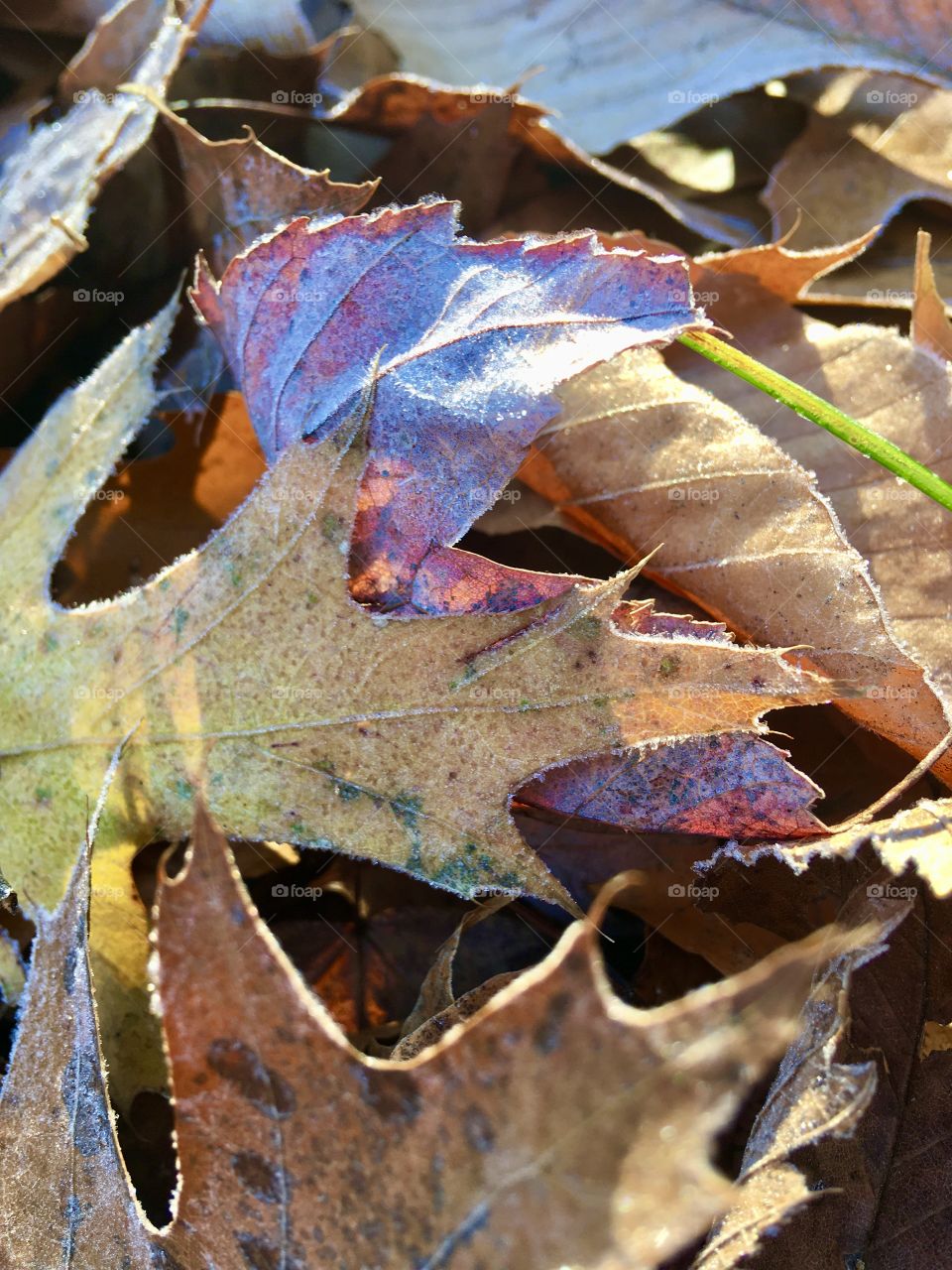 And then it was fall