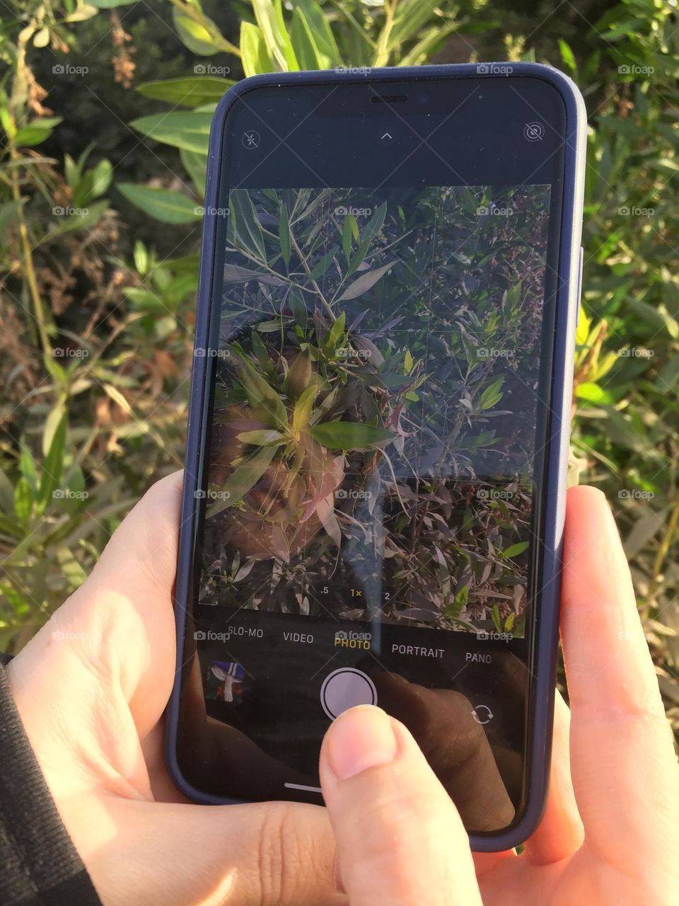 A young woman is using her phone to take a photo for the plants 