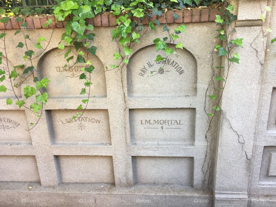 The Haunted Mansion at Disneyland. In Anaheim, California. Pet Cemetery and Immortal Cemetery. No Time in This Realm. Copyright Chelsea Merkley Photography 2019. 