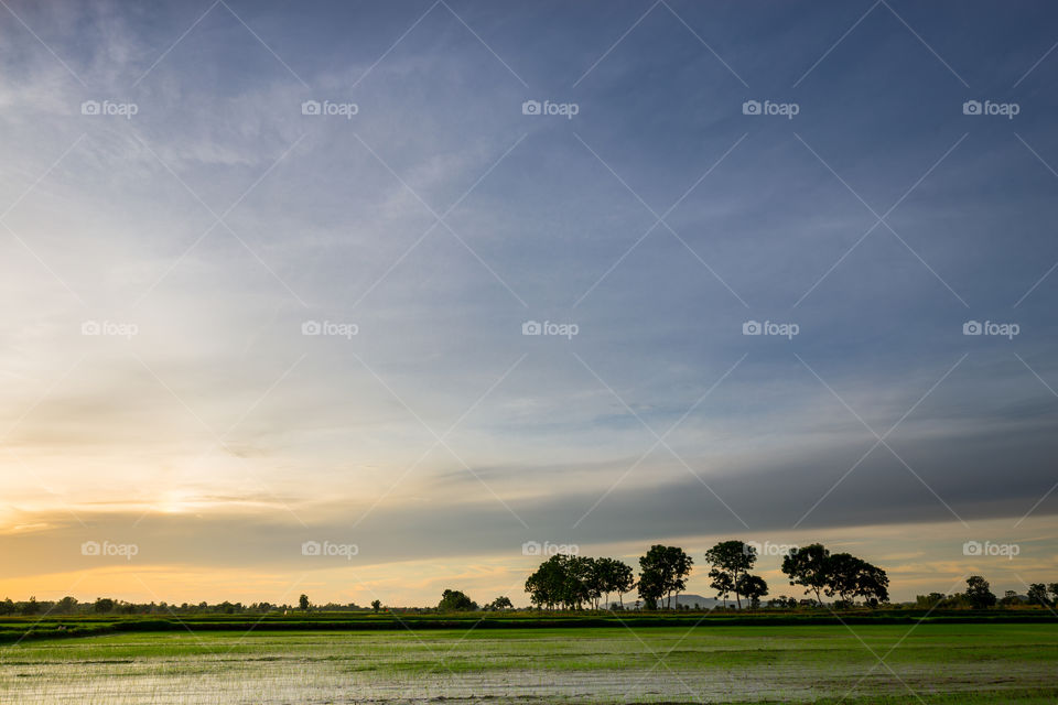 Sunset at the agricultural farm