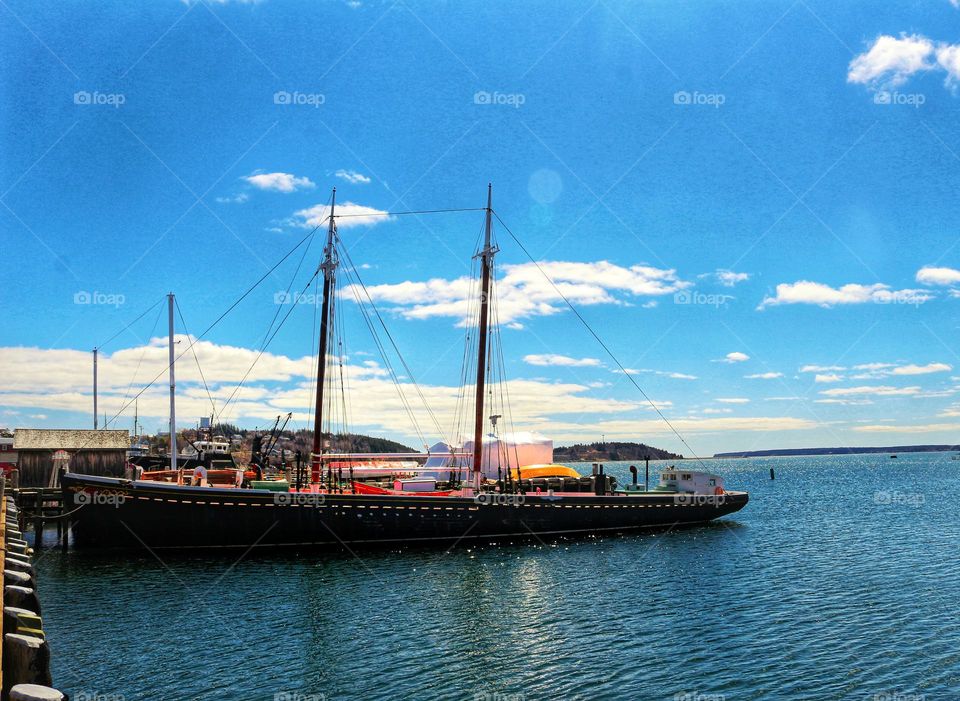 Boats on the waterfront in the maritimes