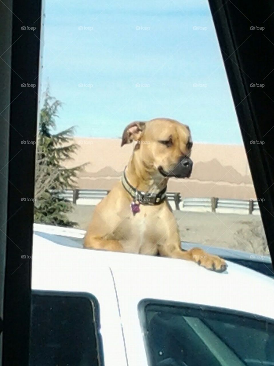 What happens in Vegas...