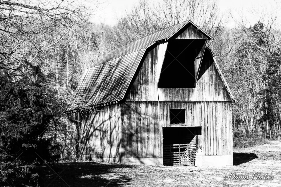 Hidden Barn