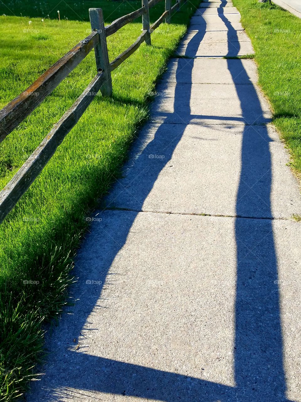 Fence Shadow