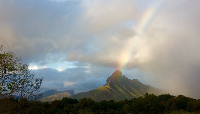 Rainbow