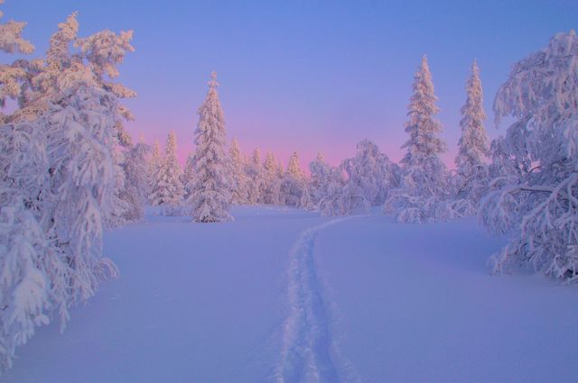 wintercolor