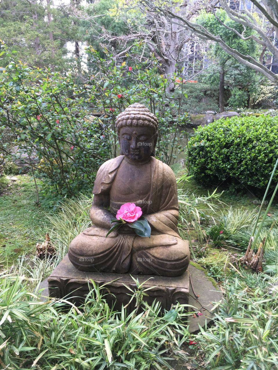 Statue in the Japanese tea.