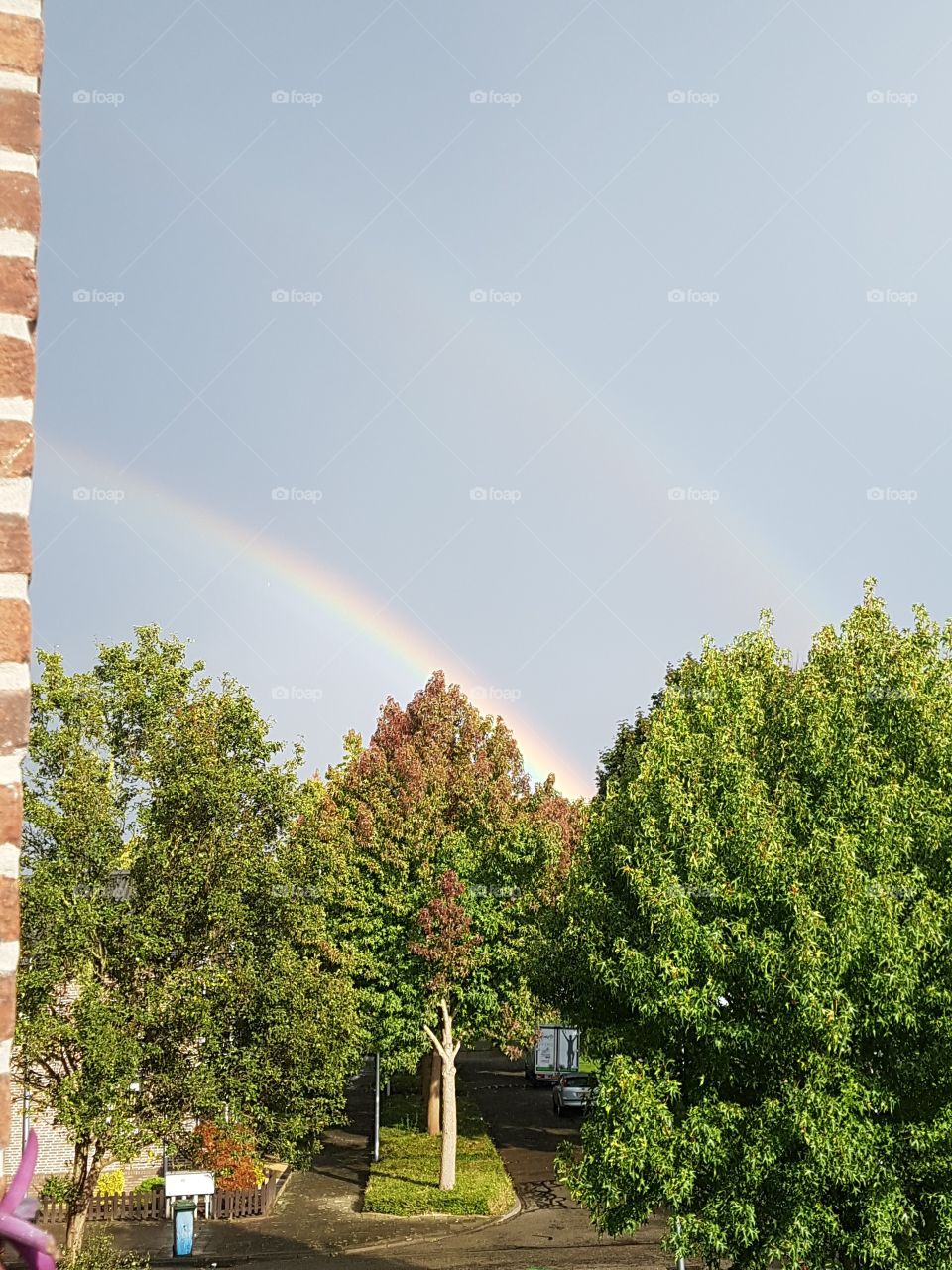 Dubble rainbow