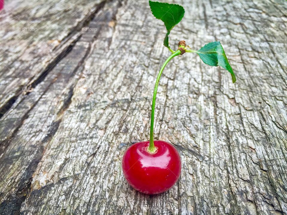 Cherries