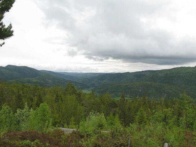 Nature