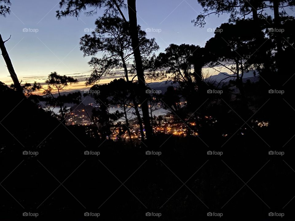 Sunset, trees and town