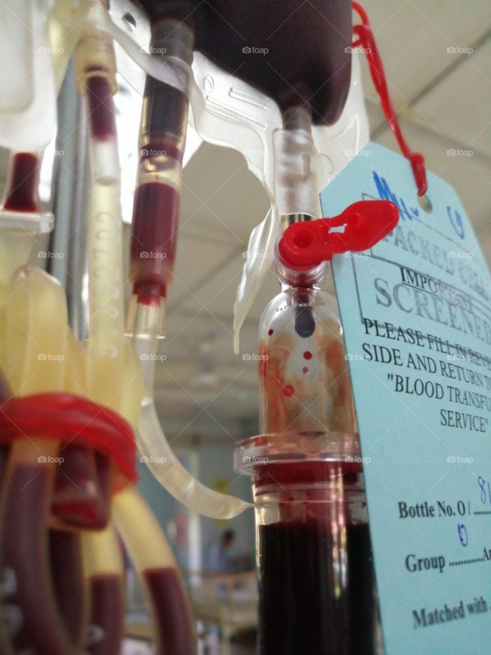 My transfusion blood