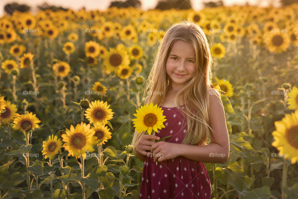 Sunflower field with girl