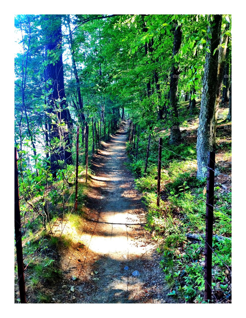 Path in Walden Pond 
