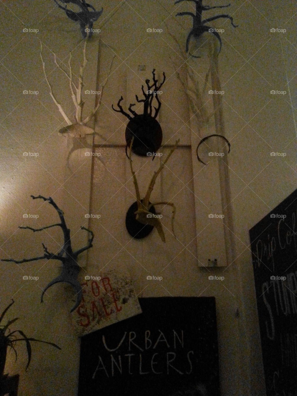 irban antlers