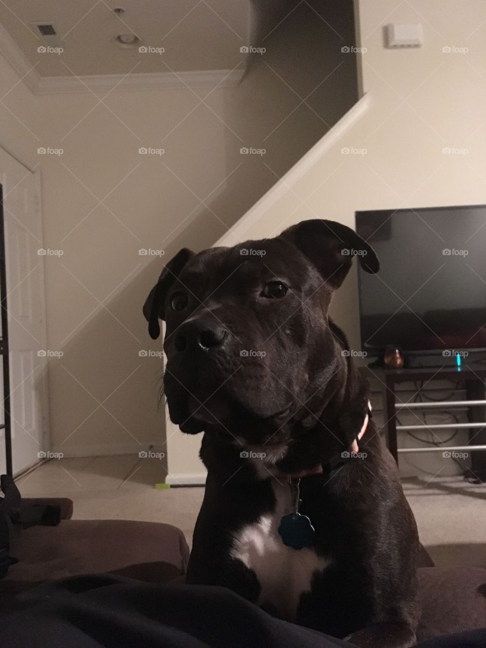 Stop playing with me face!!