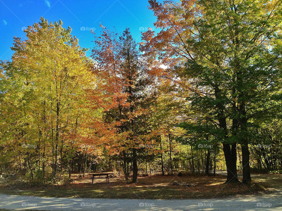 sky green light yellow by somebeach