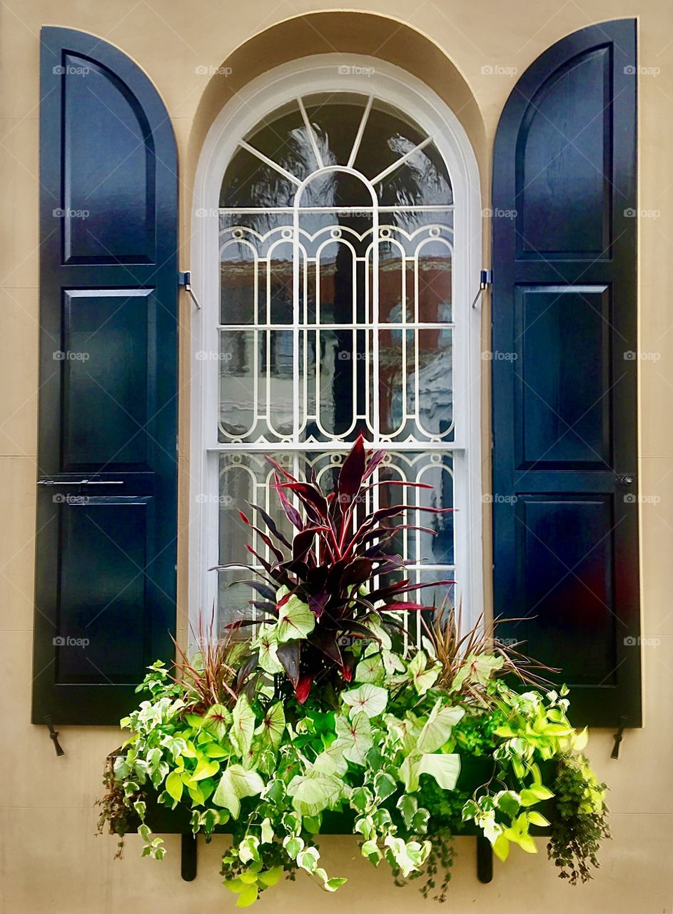 Foap Mission “Windows”!  Classic Southern Charm, Windows of The South 👍