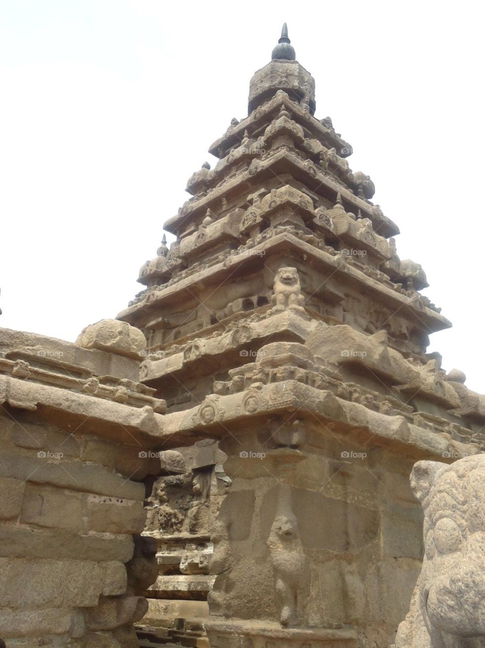 Temple side view