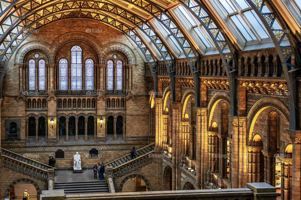 Interior of the National History Museum in London