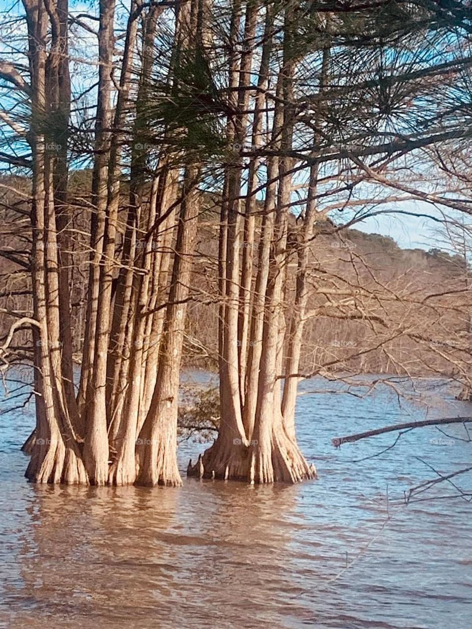 Stumpy Lake