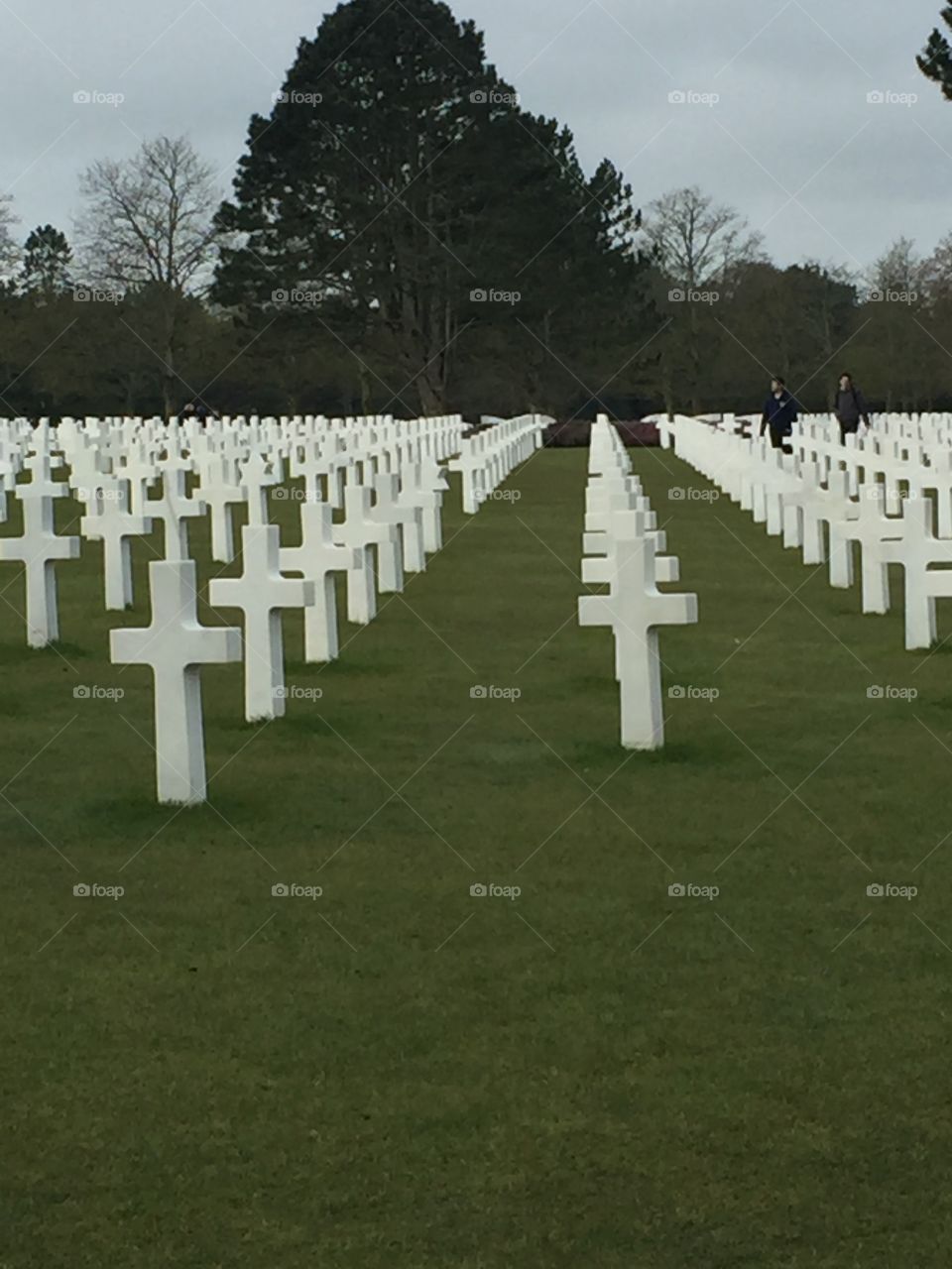 Cemetery, Military, Grave, War, Funeral