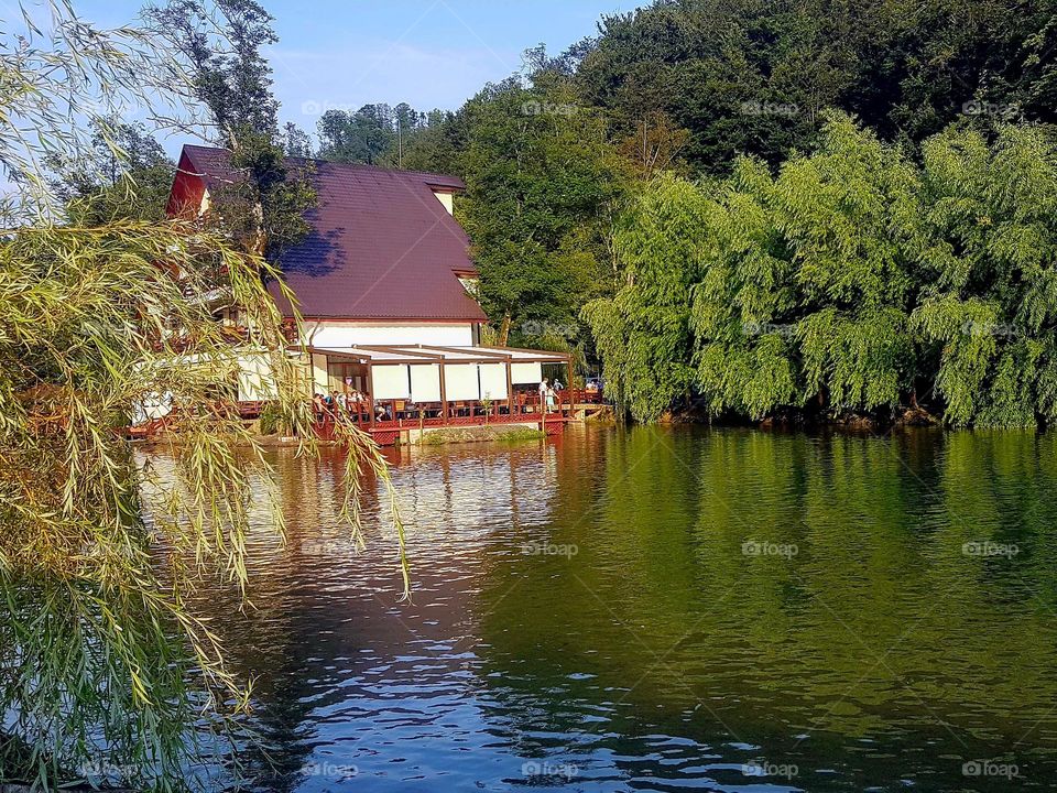 Moneasa lake