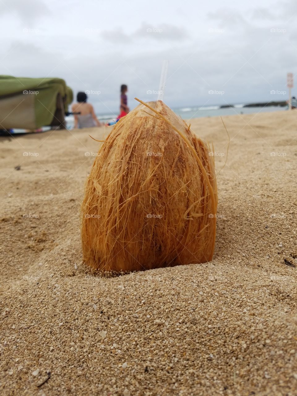 coconut on sandy beach