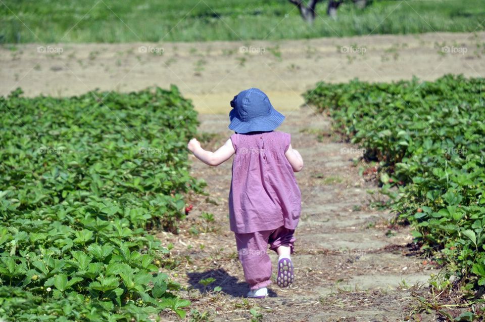 Running in the strawberry field