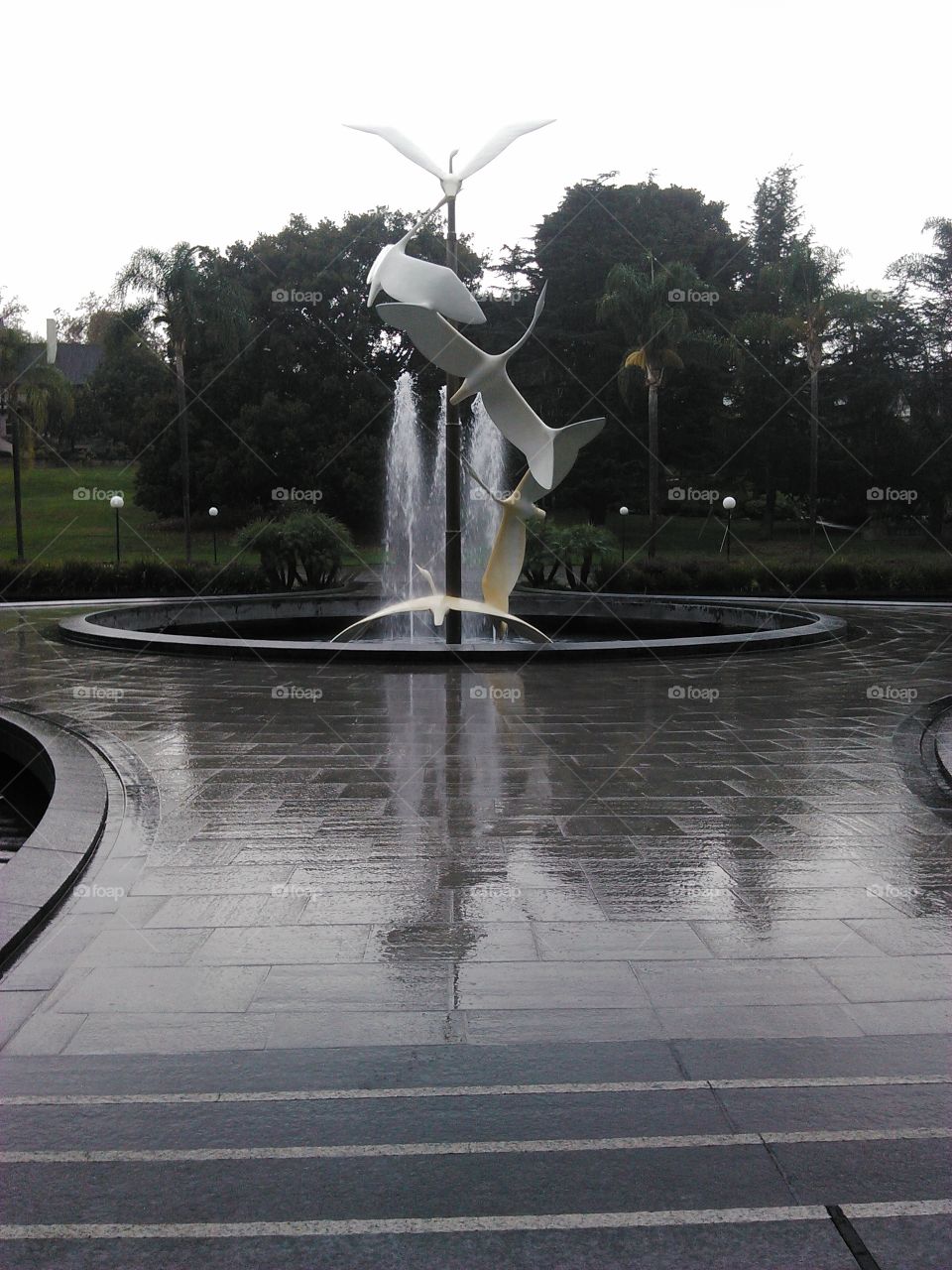 fountain on a rainy day. fountain in front of ambassador auditorium