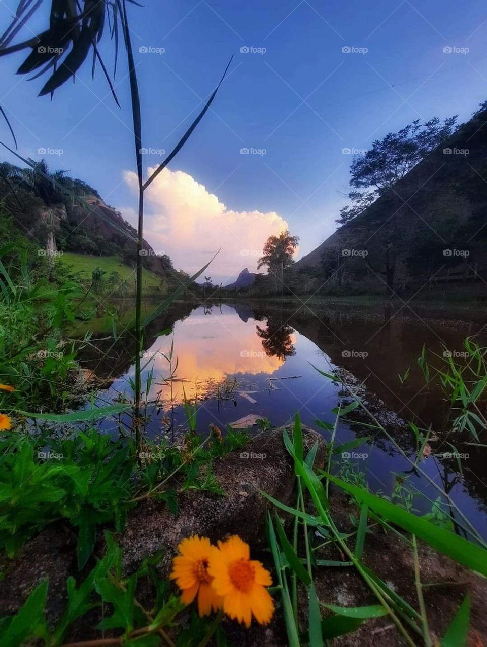 landscape with sunset