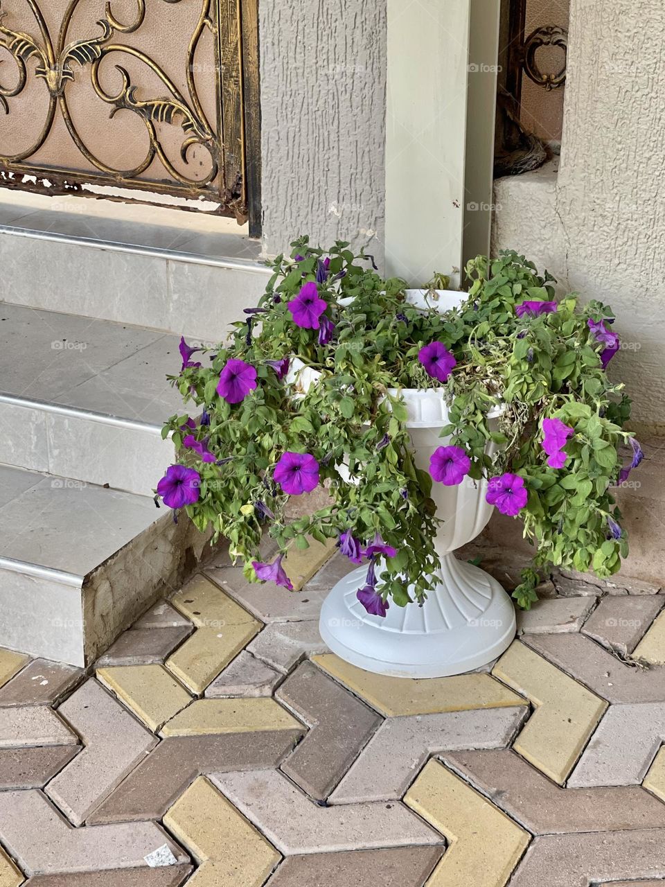 Flowers by the door