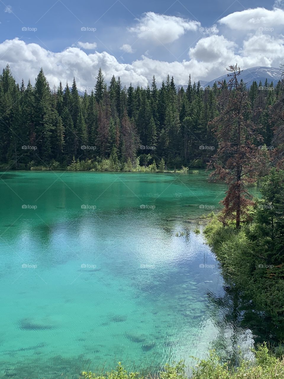 Jasper National Park 