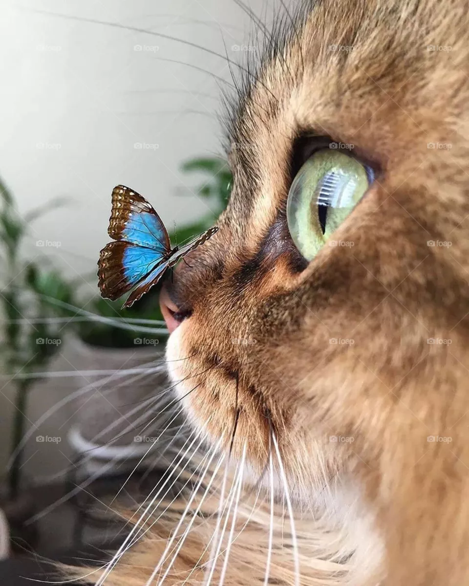 A surprised look