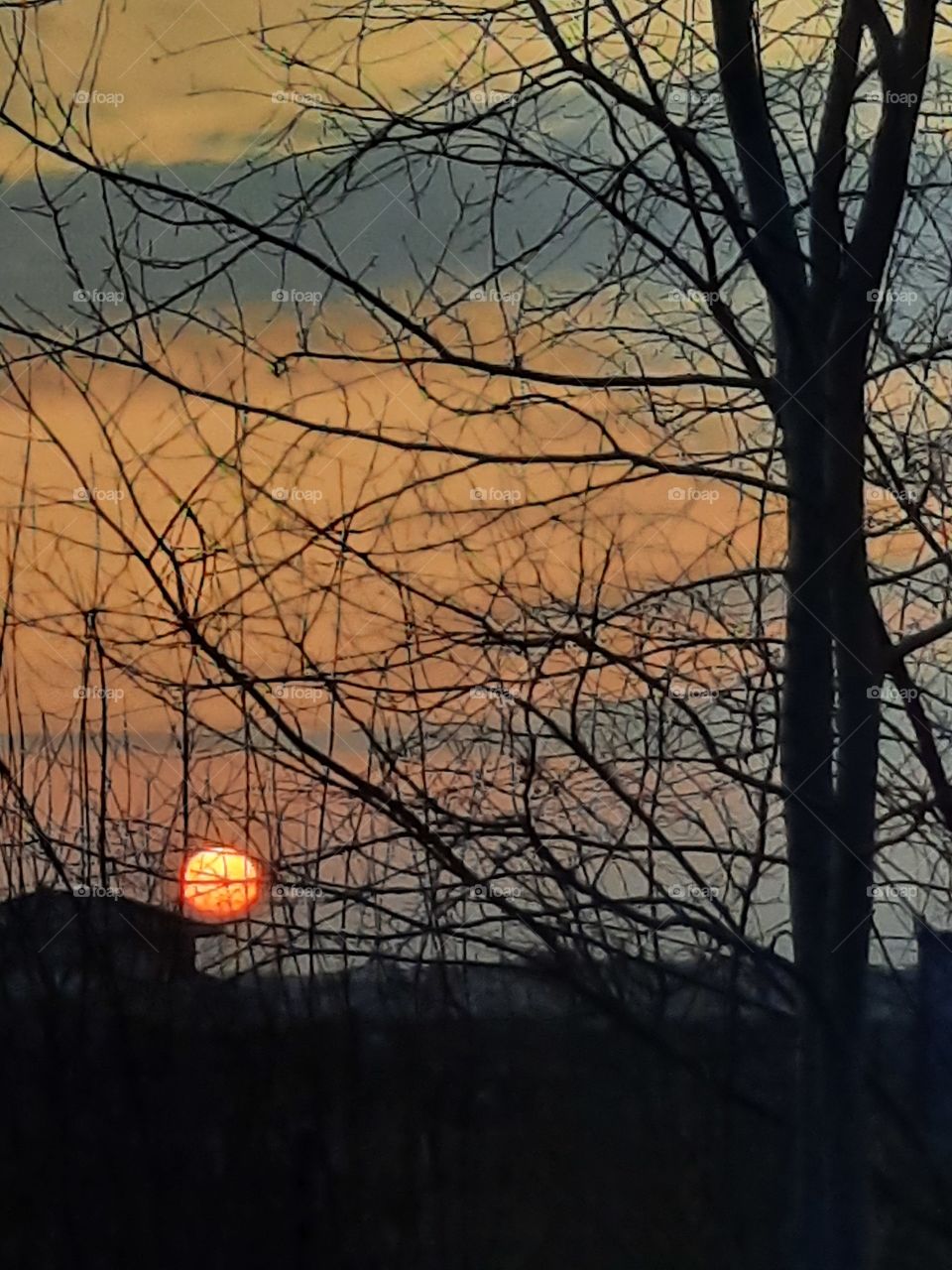 sunrise with orange sky and black silhouettes of trees