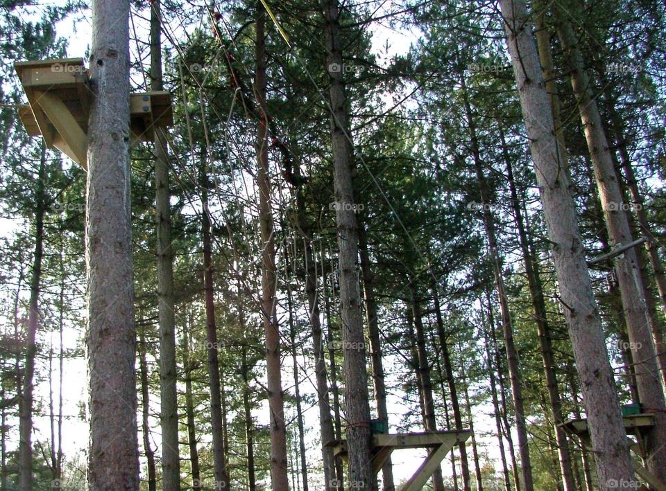 Aerial assault course 