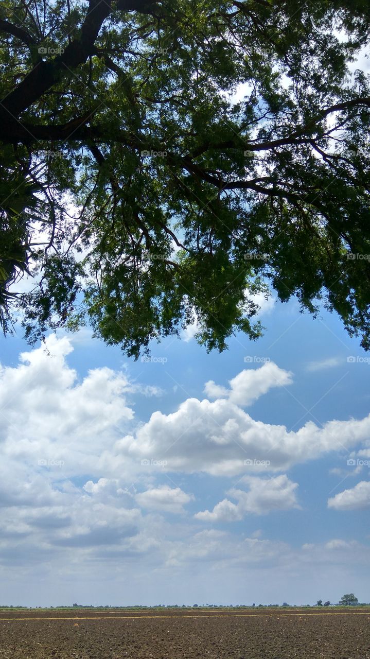 Blue sky with lovely Clouds all bluish