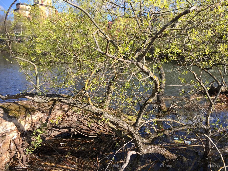 Beautiful but cold morningwalk