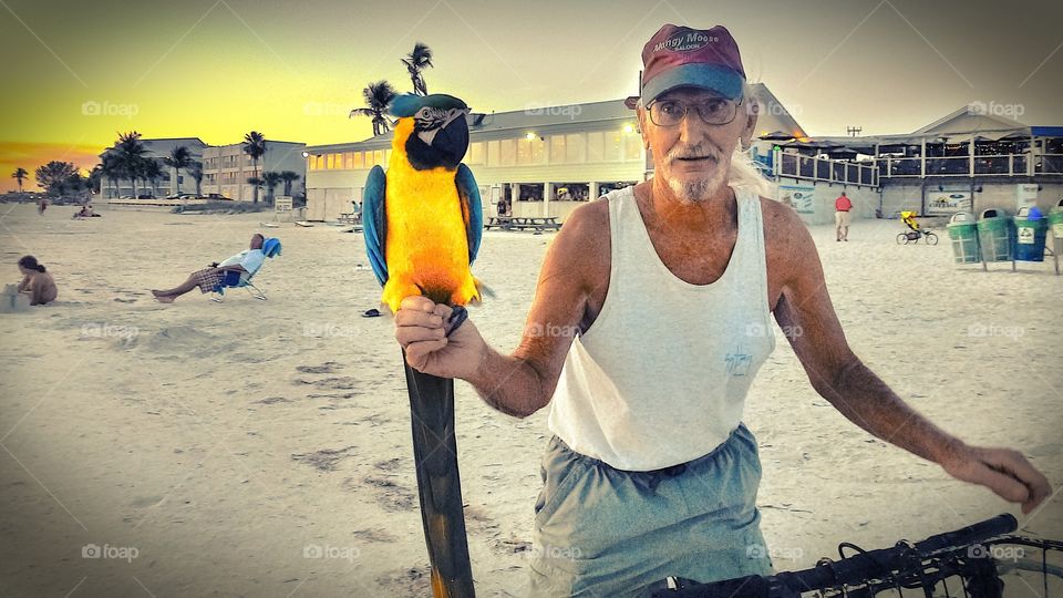 A man carrying his pet Parrot on the beach