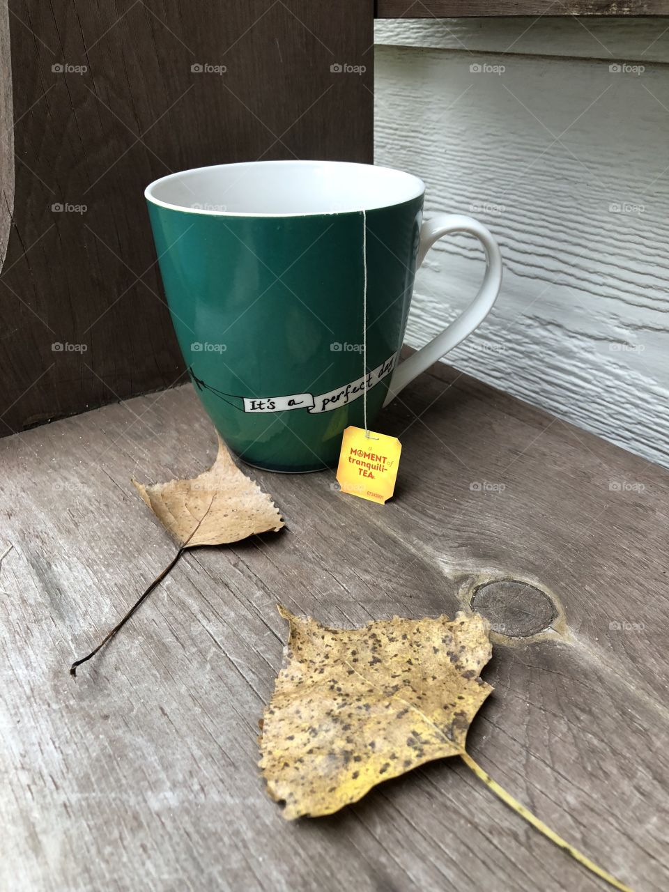 Tea for one on a fall day