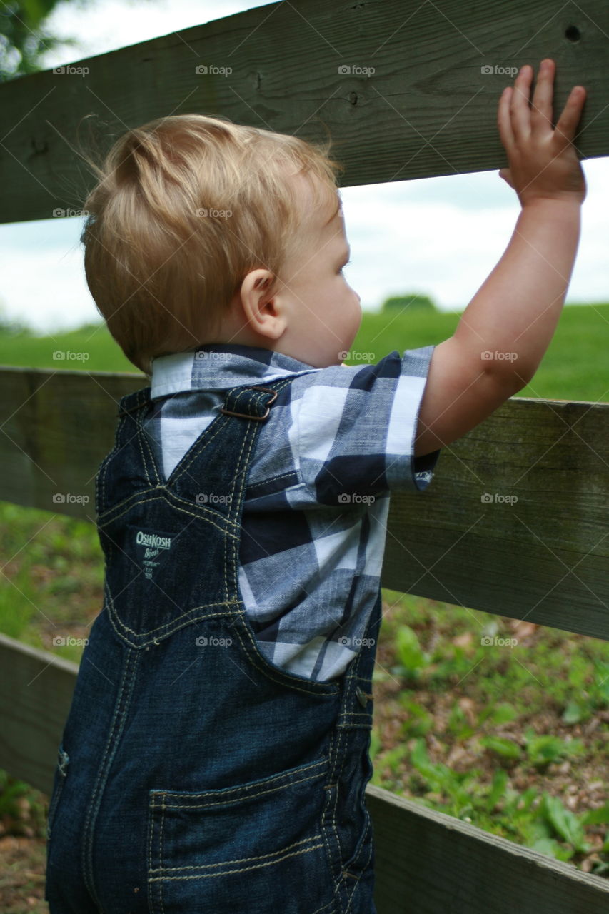 View Through the Fence