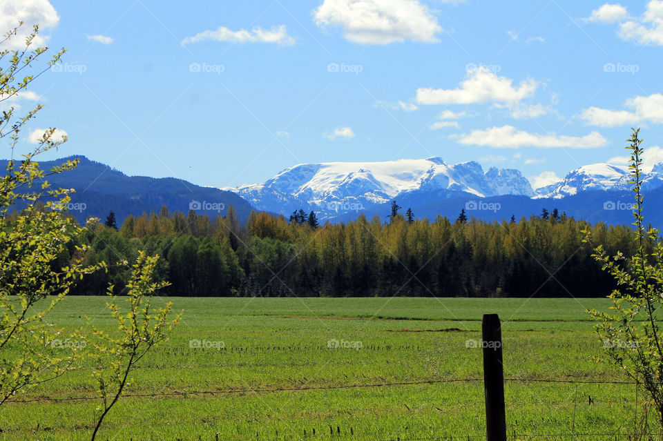Looking past newly budding bushes, over a farm fence, across bright green fields, through awakening trees, to the blue glacier topped mountains, and the cloud kissed sky! It was a bright, beautiful Spring afternoon!