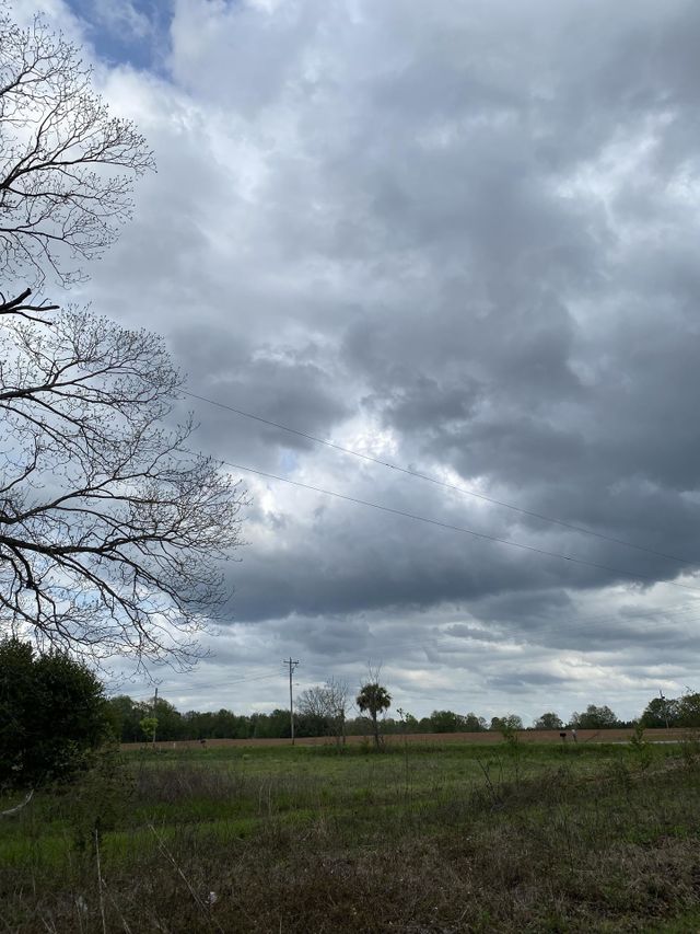 Before the storm 