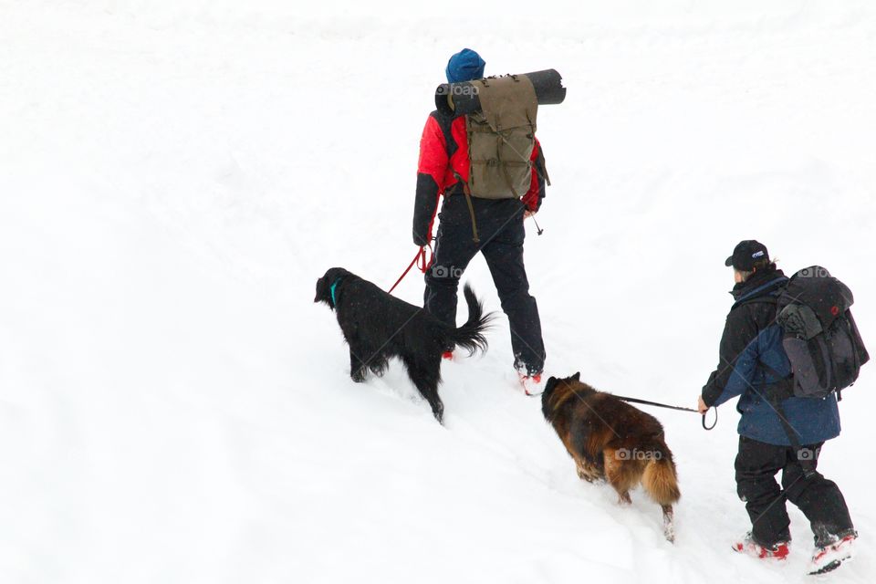 Snow Walkers