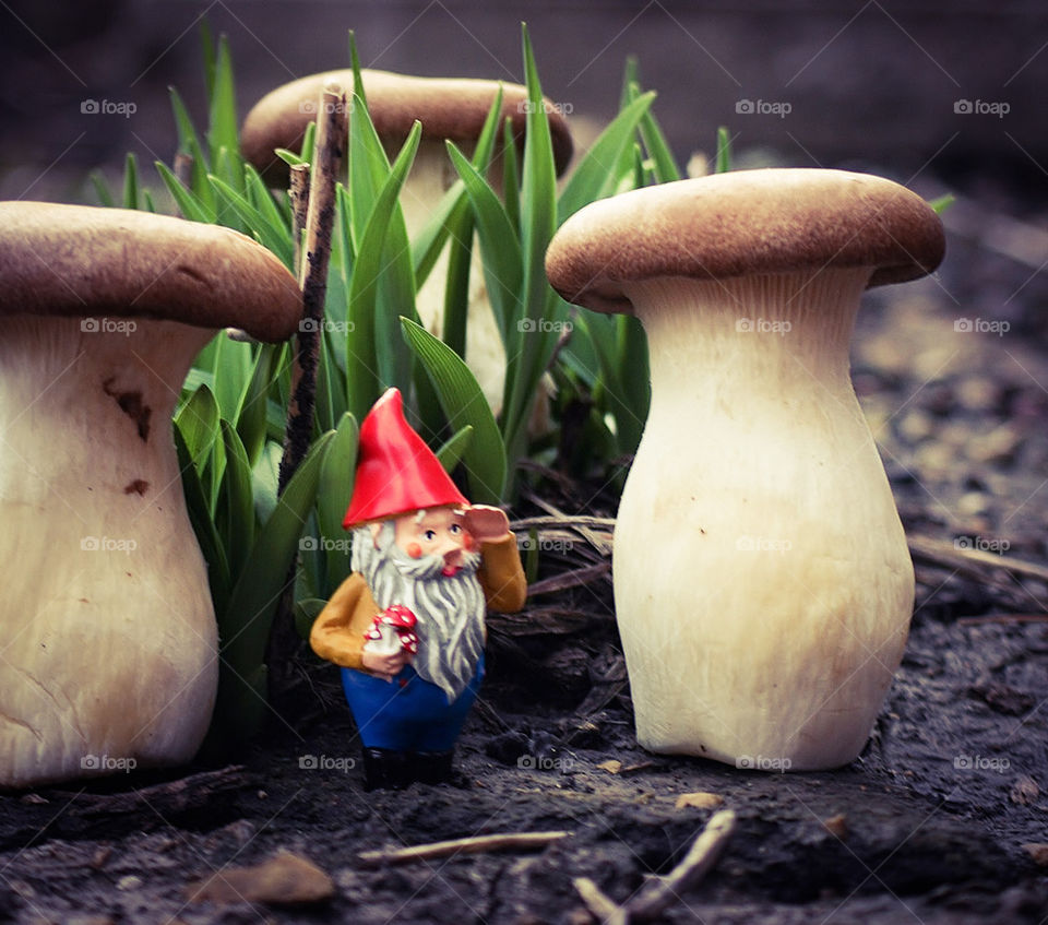 Toy in mushroom bunch